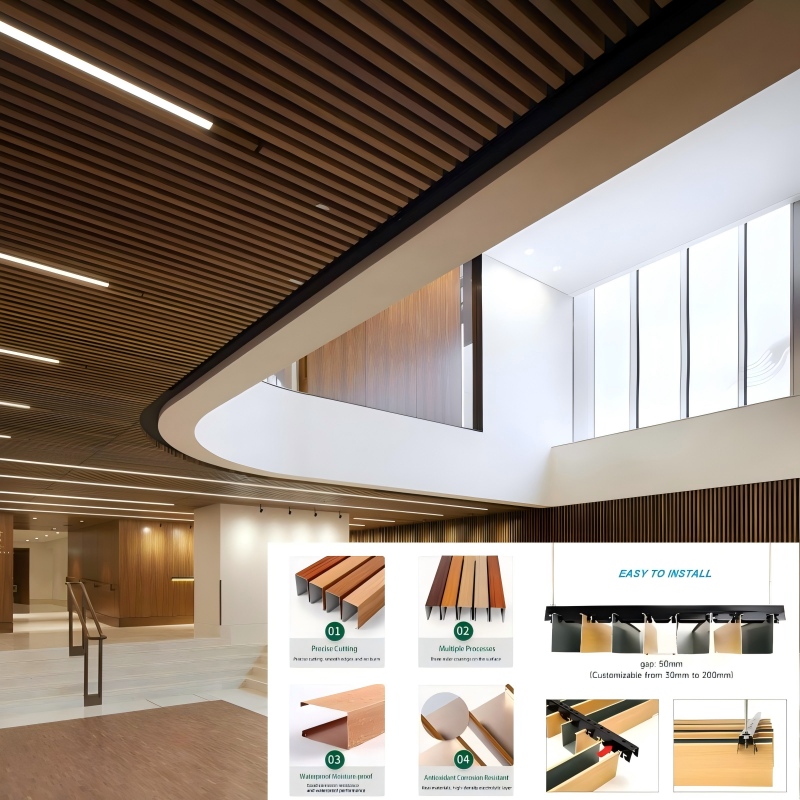 2(1) Aluminum Ceiling Series